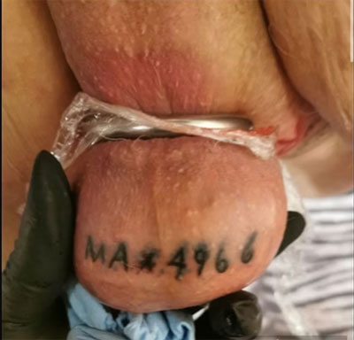 tattoos